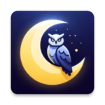 night screen android application logo